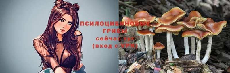 гидра   Тюмень  Псилоцибиновые грибы Magic Shrooms 